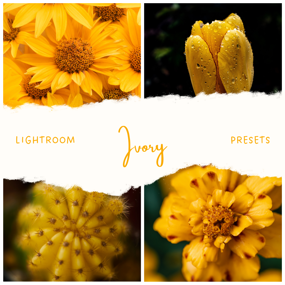 LR Presets: Ivory — Preset Quad